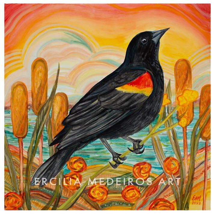 Copyright Ercilia Medeiros Santa Cruz California Fine Art by Ercilia Medeiros Copyright Ercilia Medeiros