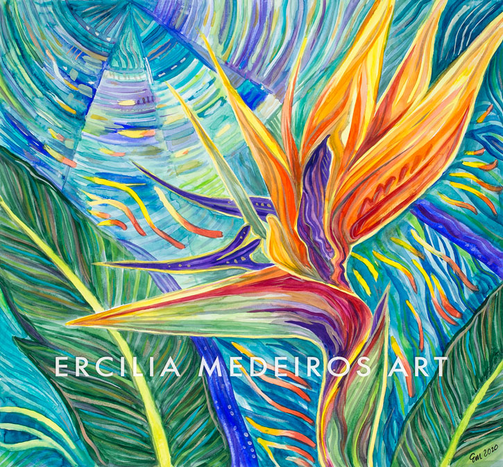 Copyright Ercilia Medeiros Santa Cruz California Fine Art by Ercilia Medeiros Copyright Ercilia Medeiros